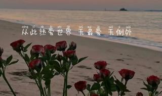抖音文案短句干净治愈 抖音文案短句干净治愈